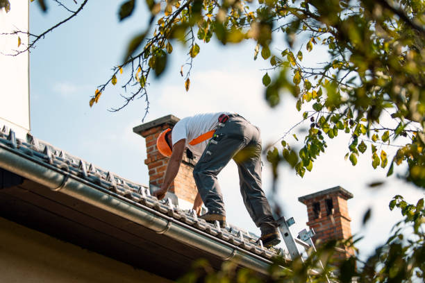 Best Storm Damage Roof Repair  in Forest, VA