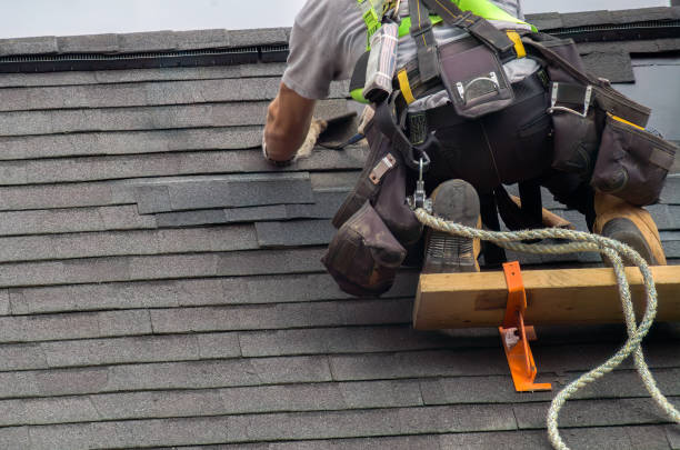 Best Roof Maintenance Services  in Forest, VA
