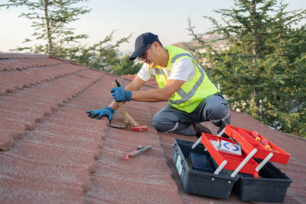 Best Roof Installation Near Me  in Forest, VA