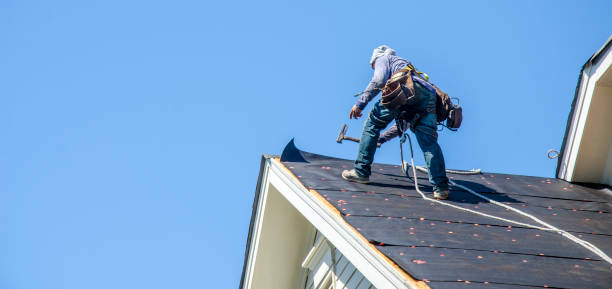 Best Gutter Installation and Roofing  in Forest, VA